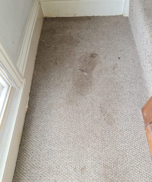 before hall carpet cleaning - Skyline Cleaning